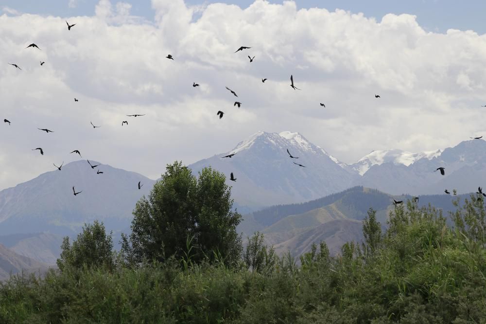 Photograph by Виктория Пономарева