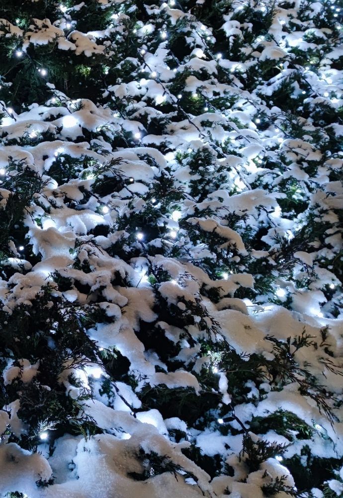 Photo #6923372