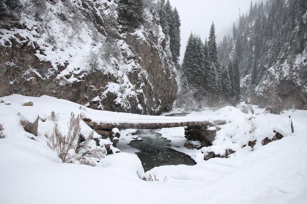 Photograph by Виктория Пономарева