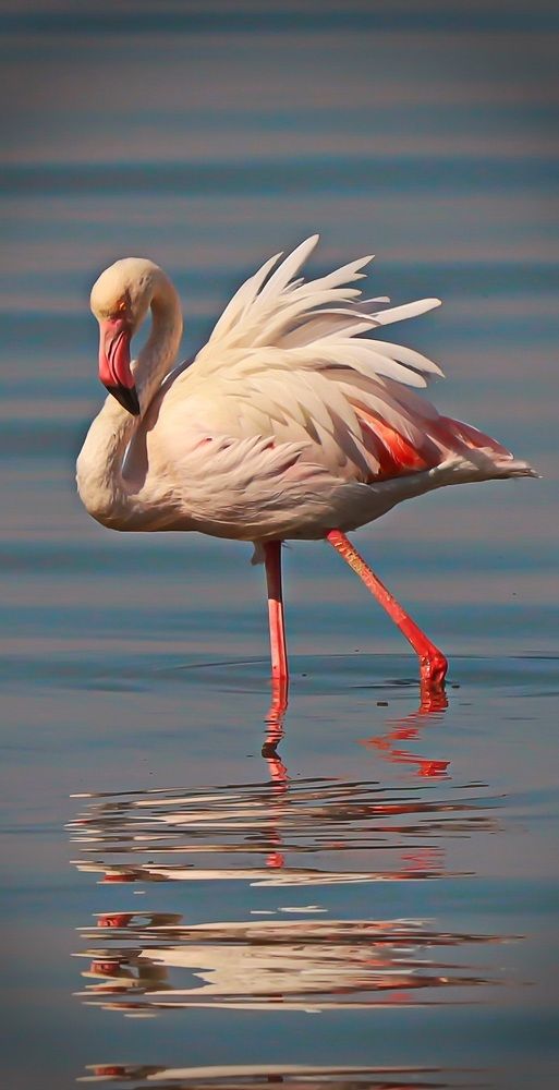 Photograph by Shukurjon Isamukhamedov