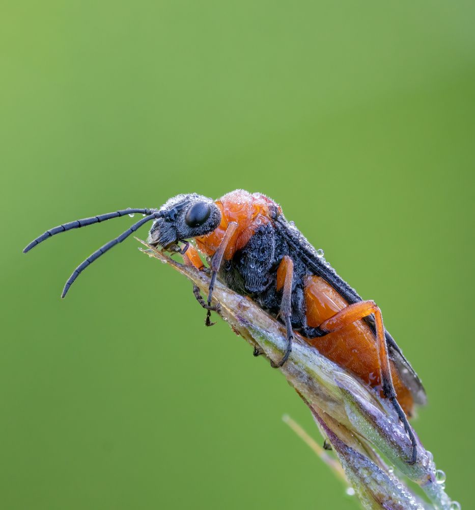 Photograph by Глеб Коровко