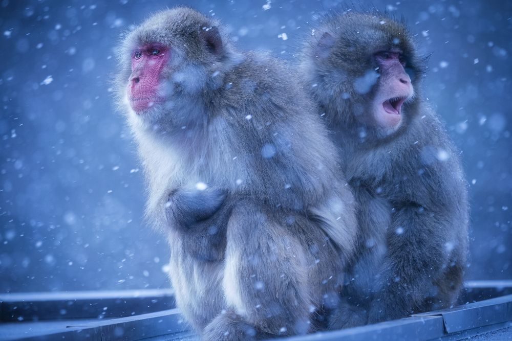 When the storm comes