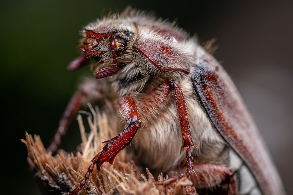 Photograph by Глеб Коровко