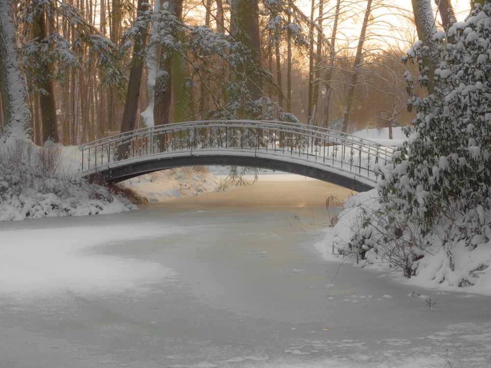 Photograph by Mariusz Fronia