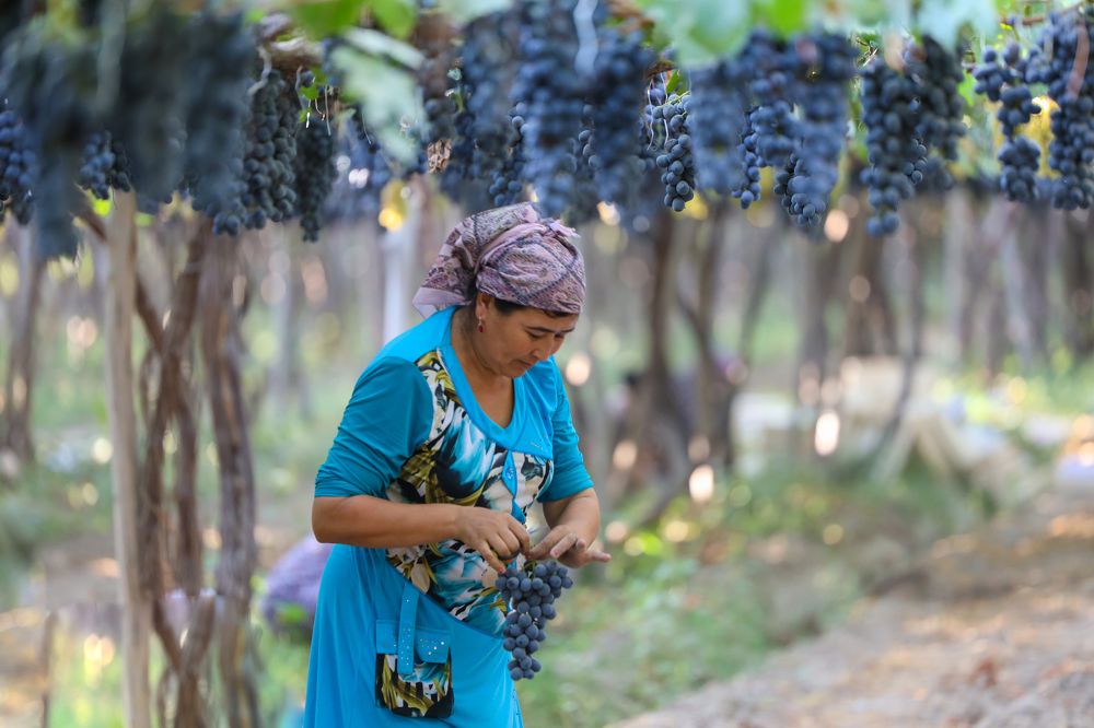 Photograph by Юрий Корсунцев