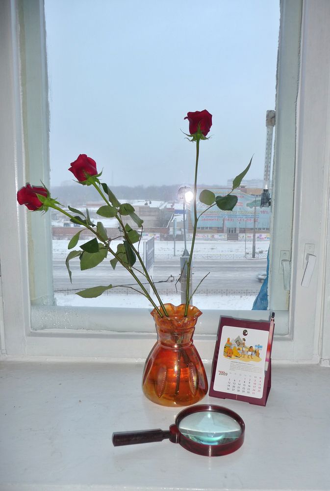 Фотография автора Клавдия Васильева