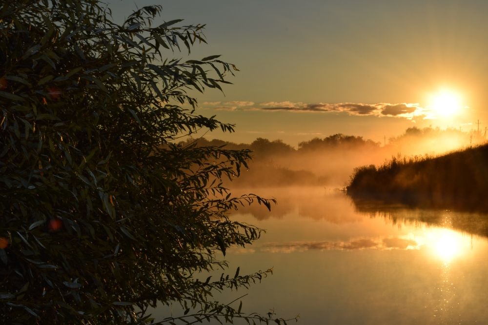 Photograph by Bulatova Maiya