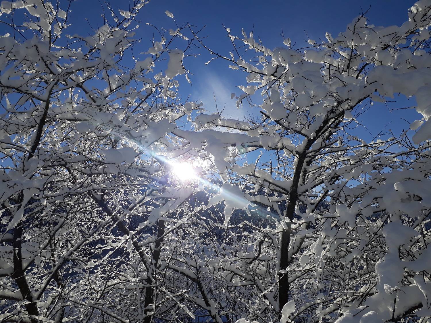 Photo #6923438