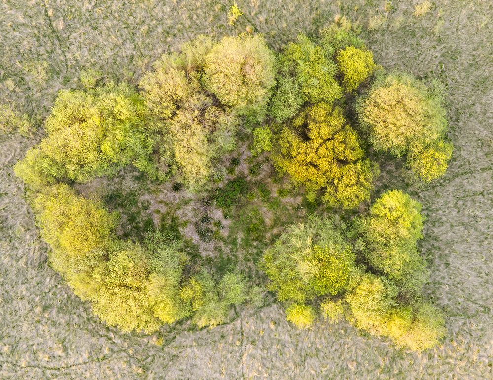 Photograph by Алла Толстая