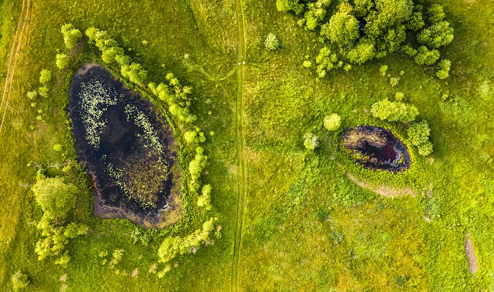 Photograph by Алла Толстая