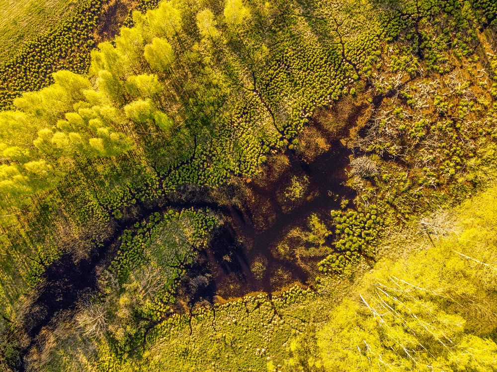 Photograph by Алла Толстая