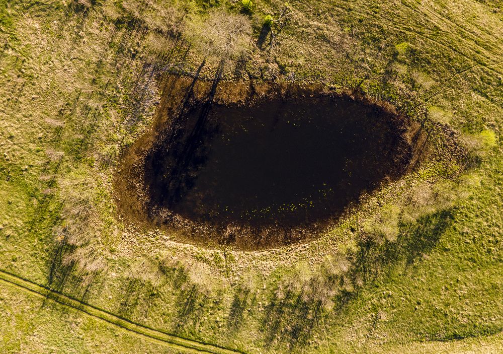 Photograph by Алла Толстая