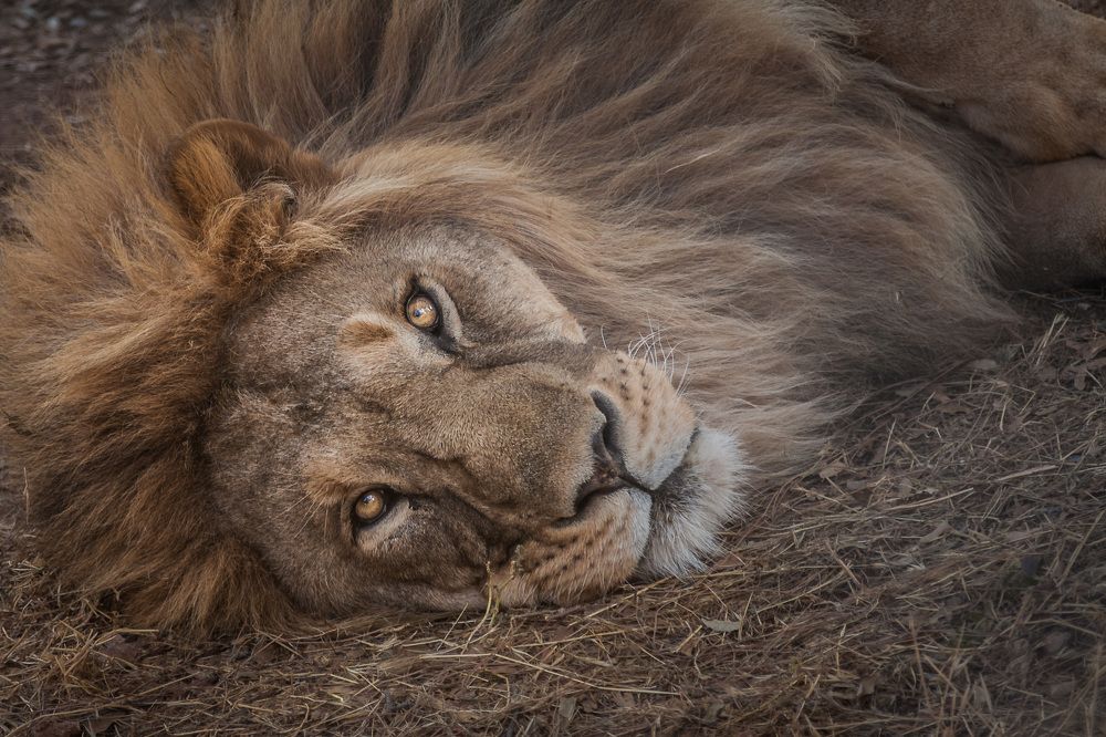 Photograph by Игорь Кара-Ушанов