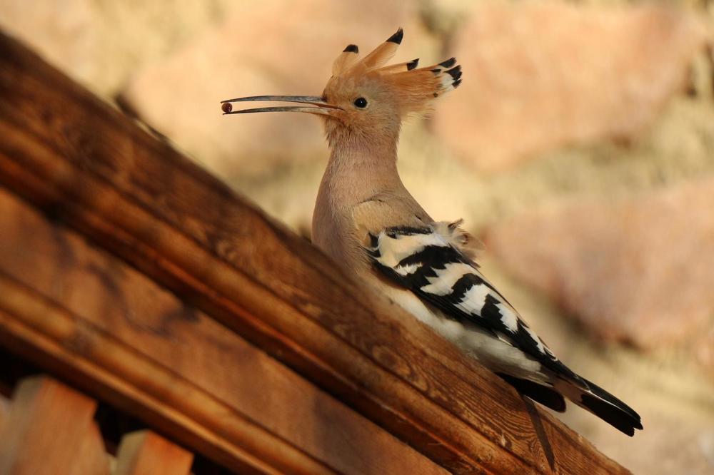 Photograph by Александр Коркин