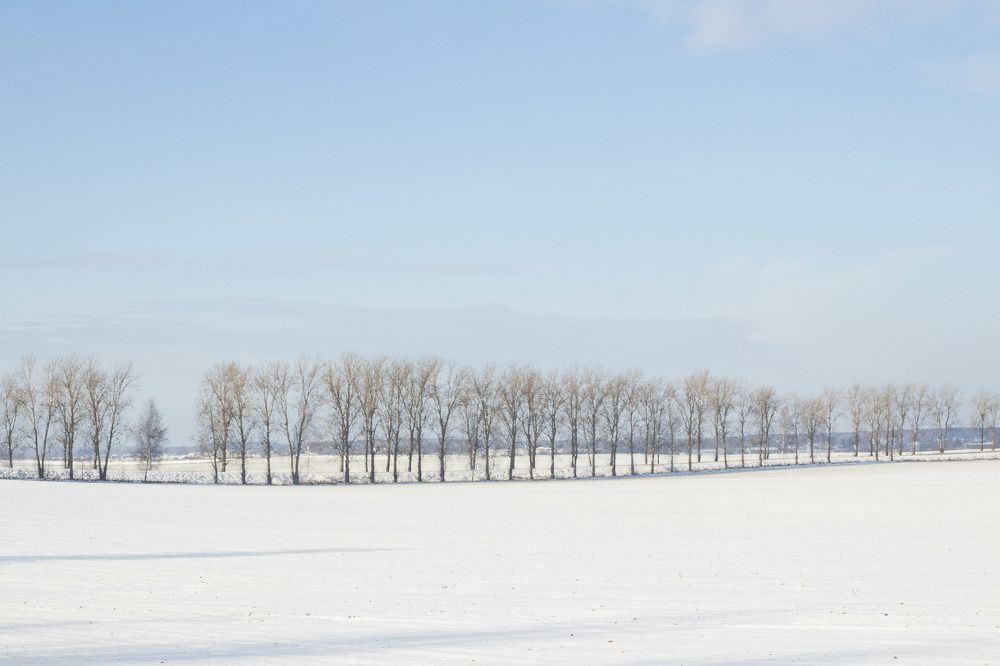 Фотография автора Ольга Никанович