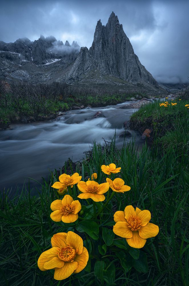 Photograph by Wanglong Zhang