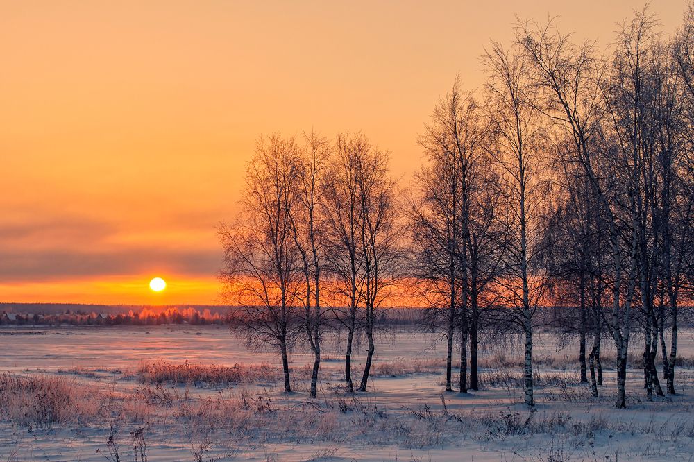 Photograph by Александр Корчагин