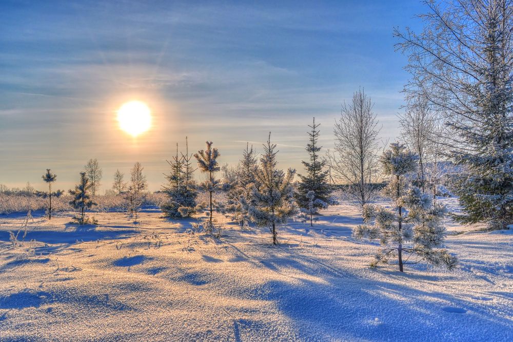 Photograph by Александр Корчагин