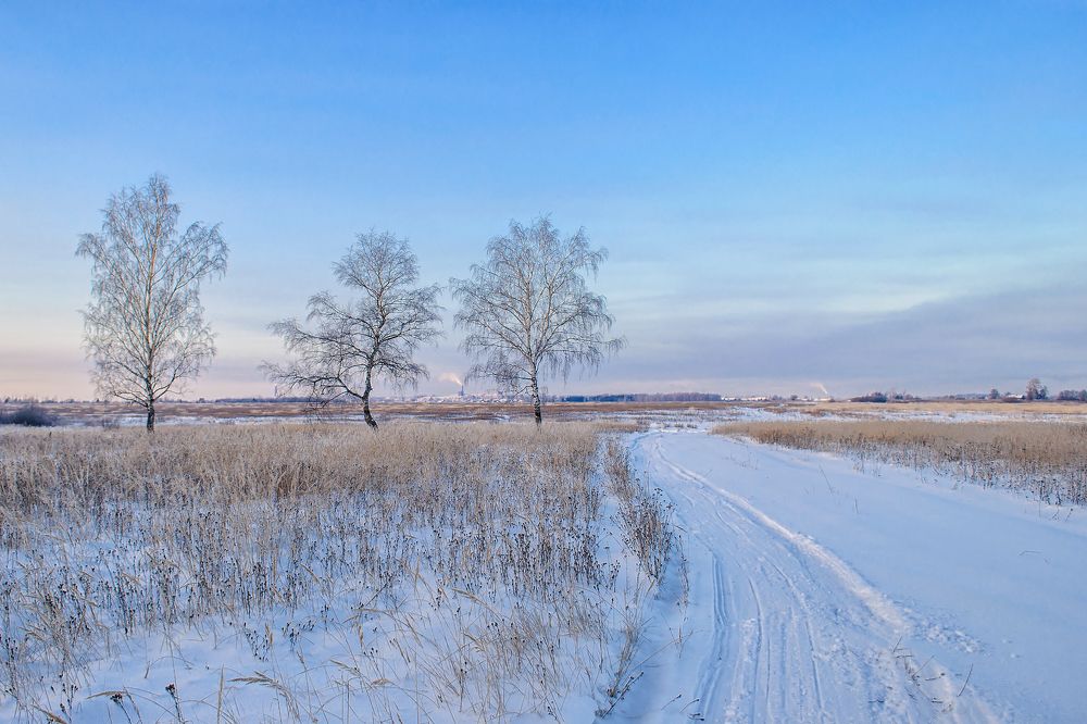 Photograph by Александр Корчагин