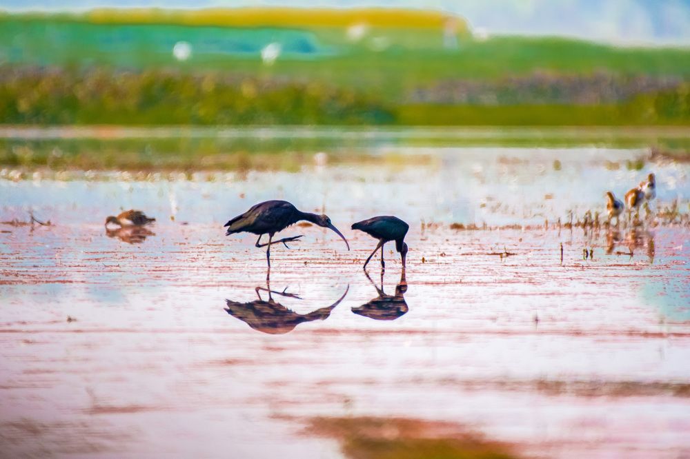 Photograph by Dipsankar Saha