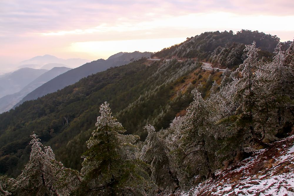 Photograph by Danny lai