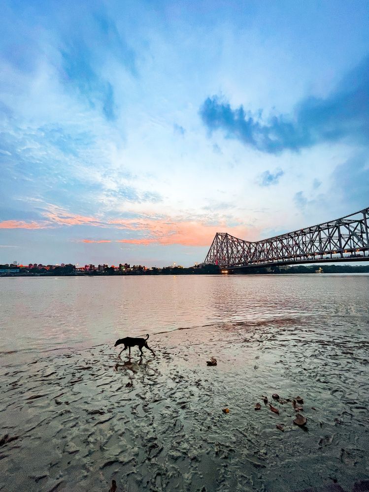 Photograph by Dipsankar Saha