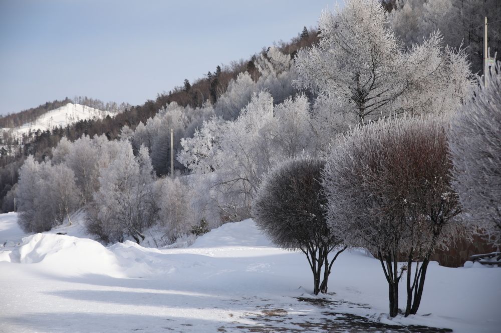Photograph by Ольга Одаренко