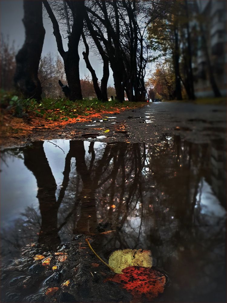 Photograph by Игорь