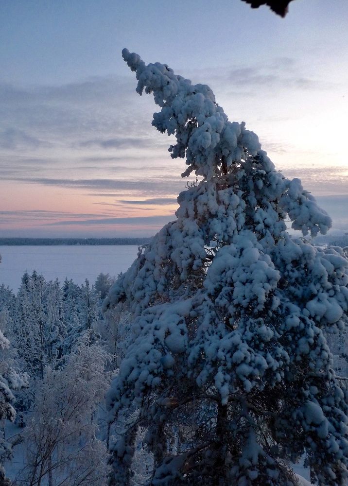 Photograph by Ольга Одаренко