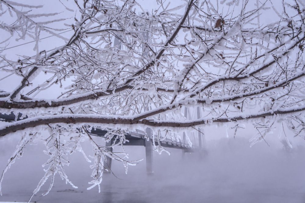 Photograph by Александр Пургин