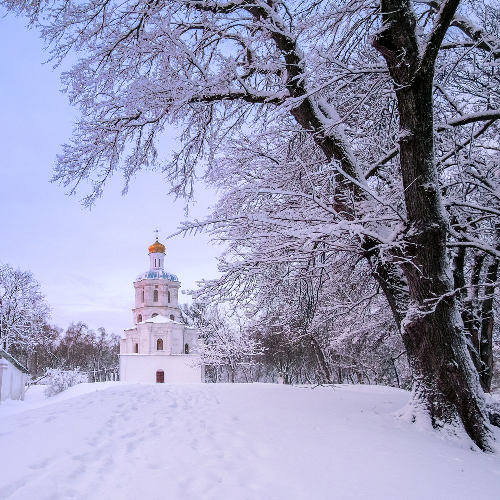 Photograph by Alex Arendar