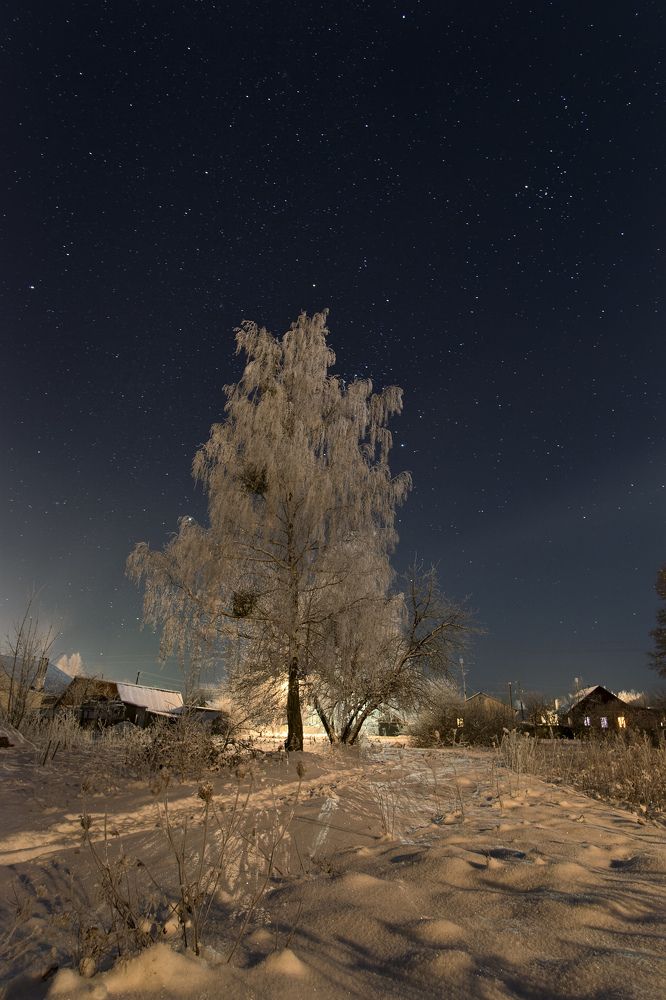 Photograph by Alex Arendar