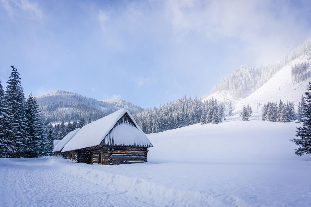 Фотография автора Skubala Krzysztof