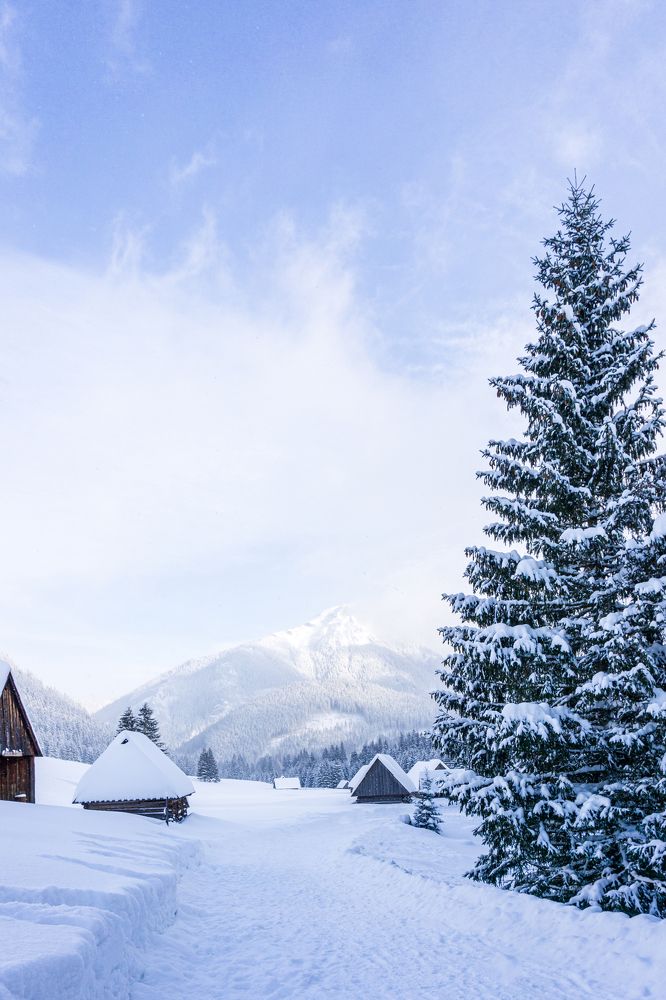 Фотография автора Skubala Krzysztof