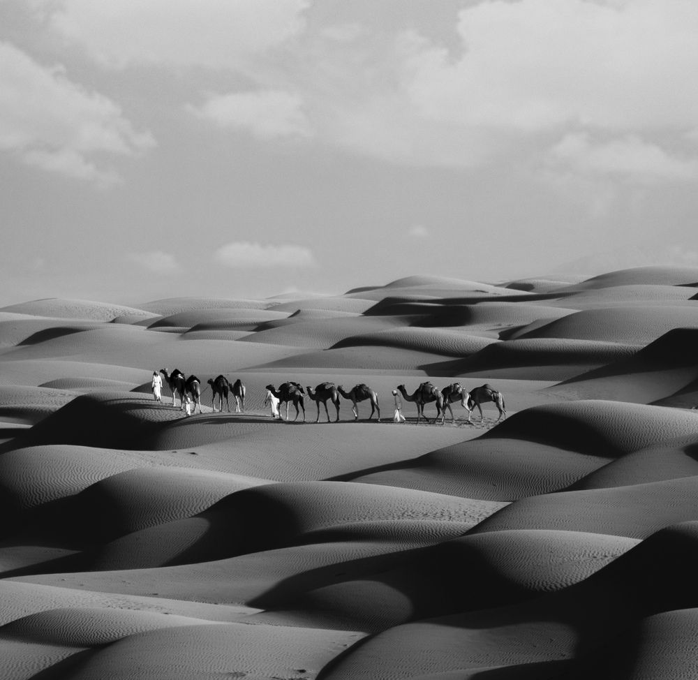 Photograph by Fatima Dashty