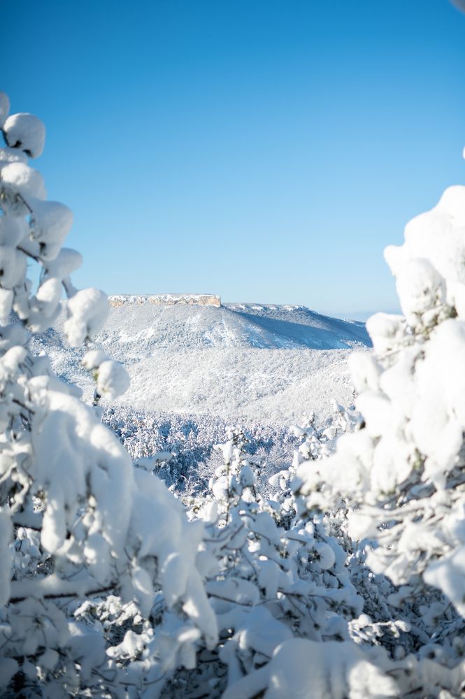 Photograph by Григорий Консевич