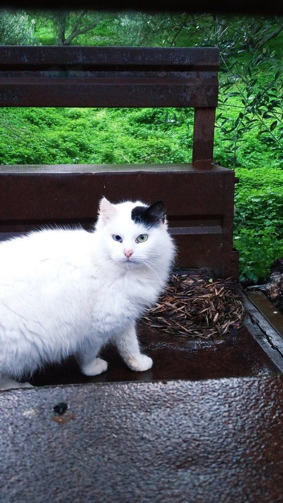 Фотография автора John Tsaklanos