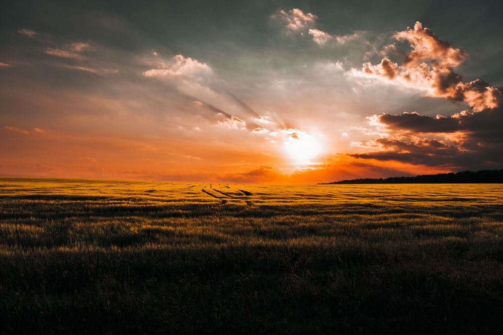 Photograph by Александр Тимохин