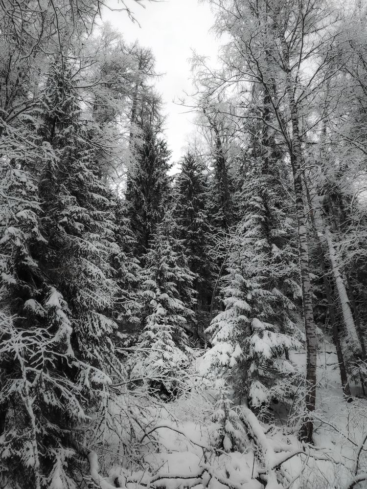 Photograph by Дмитрий Малышев