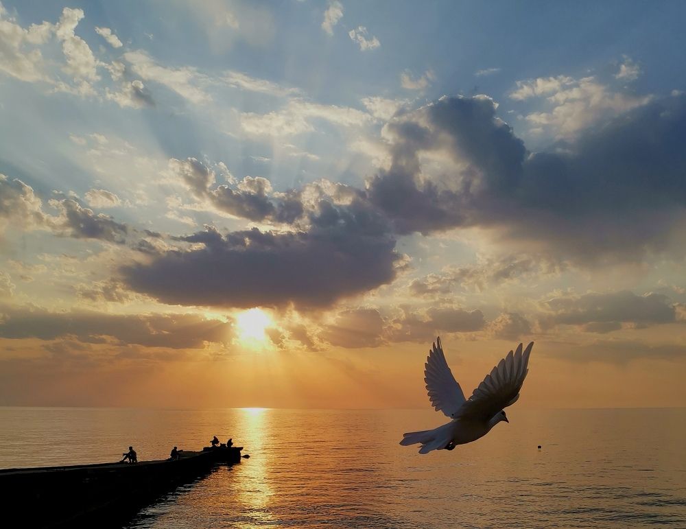 Photograph by Александр