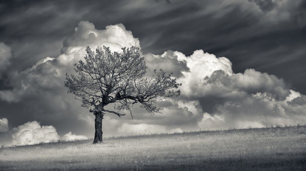 Фотография автора  Евгений