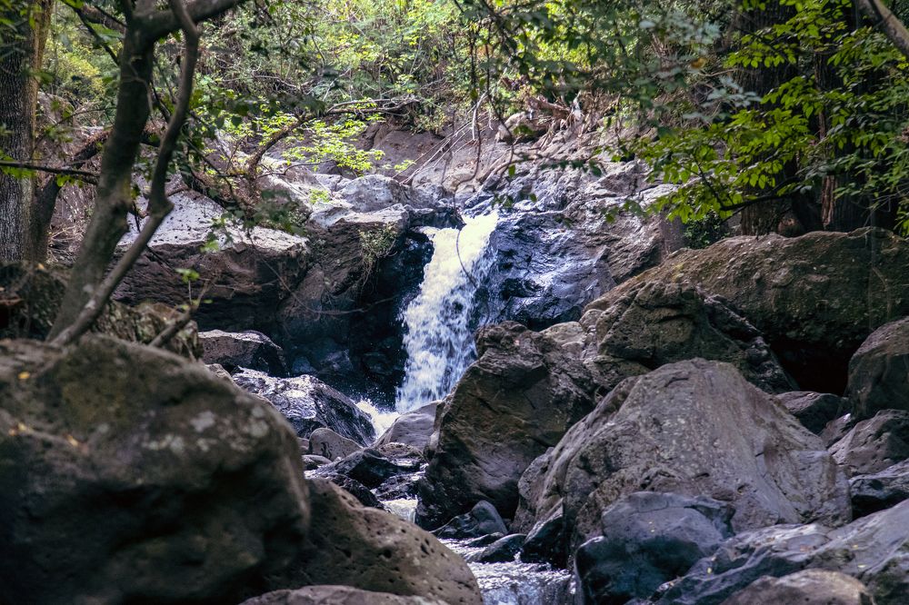 Abriéndose camino aunque este sea difícil