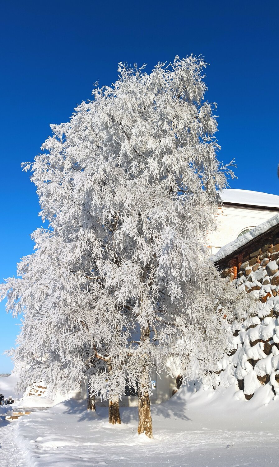 Photo #6923951