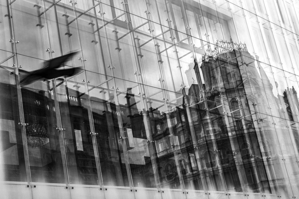 Reflection from the Window