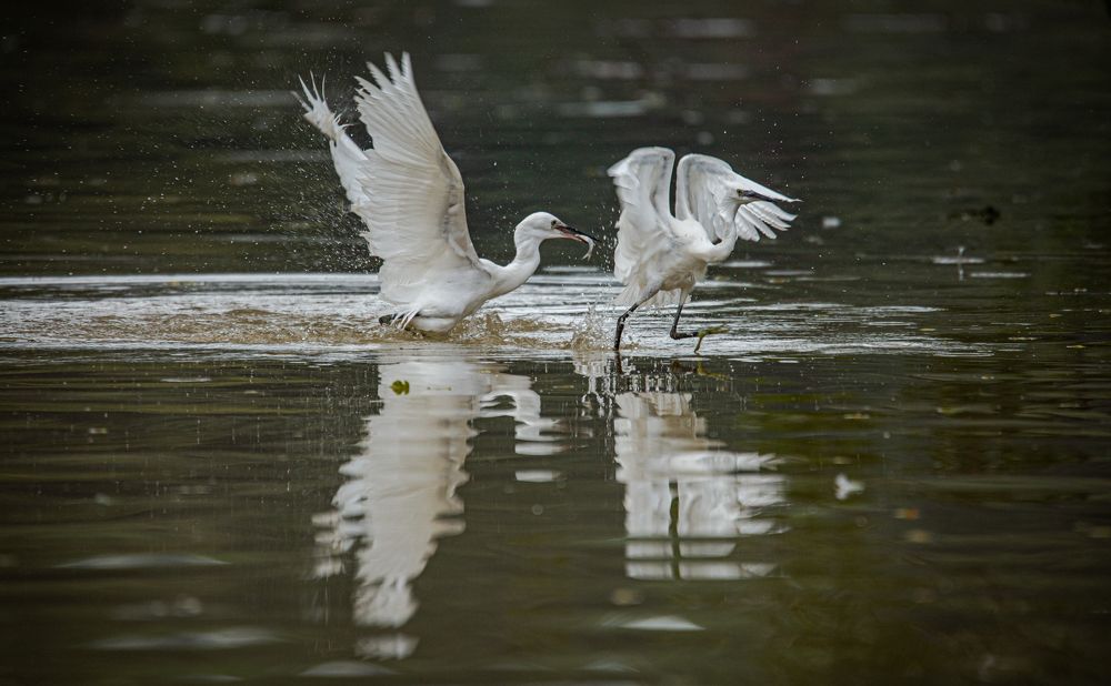 Photograph by AIEW CHEE MING
