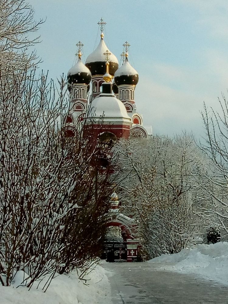 Photo #6924099