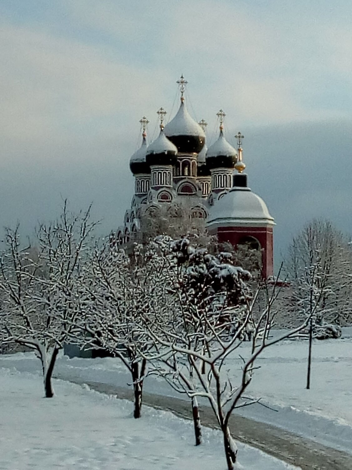 Photo #6924103