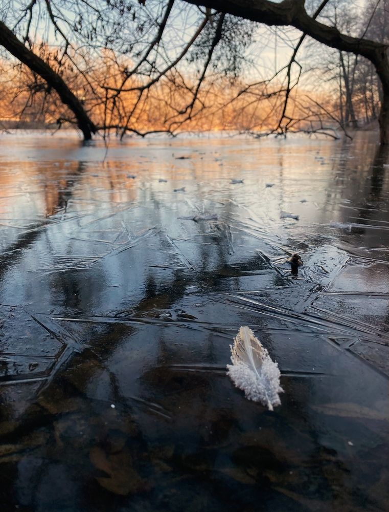 Photograph by Косяченко Светлана