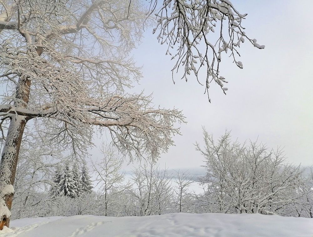 Photograph by Ольга