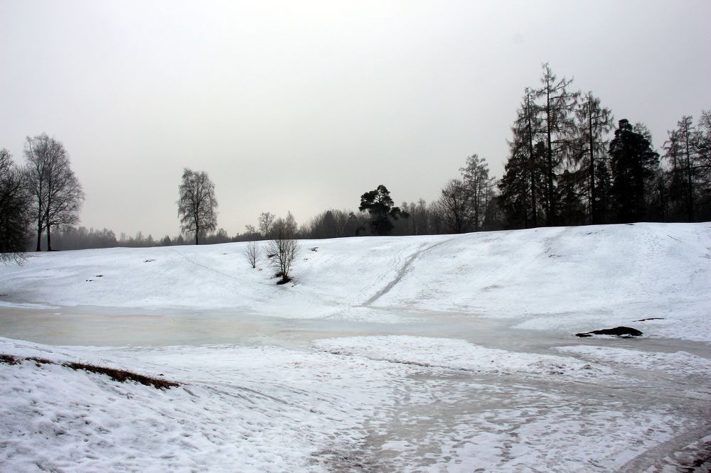 Photograph by Валентина